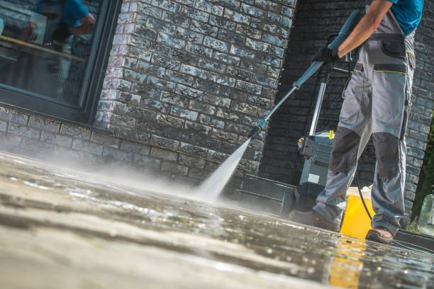 Best Window and Screen Pressure Cleaning in Loretto, TN